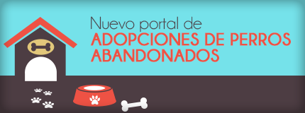 Nuevo portal de adopciones de perros abandonados en San Agustín