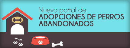 Nuevo portal de adopciones de perros abandonados en San Agustín